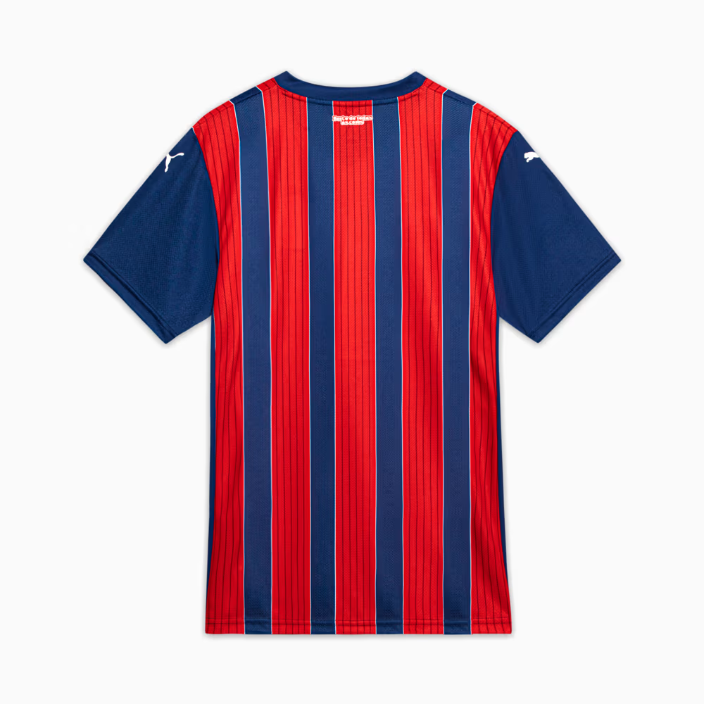 Camisa Bahia 2025/26 II Torcedor